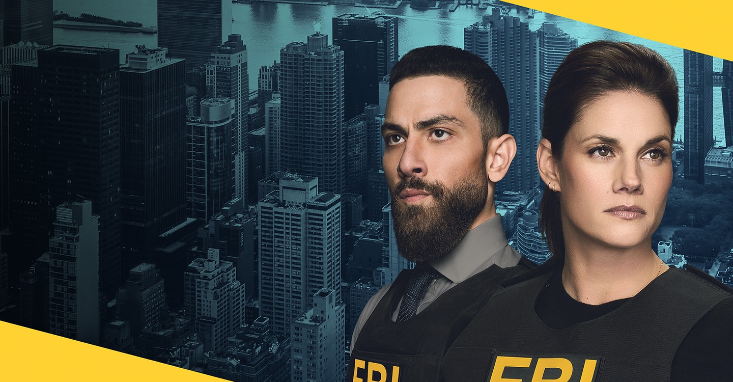 聯邦調查局第六季-FBI/ Season 6最新全集線上看線上播放