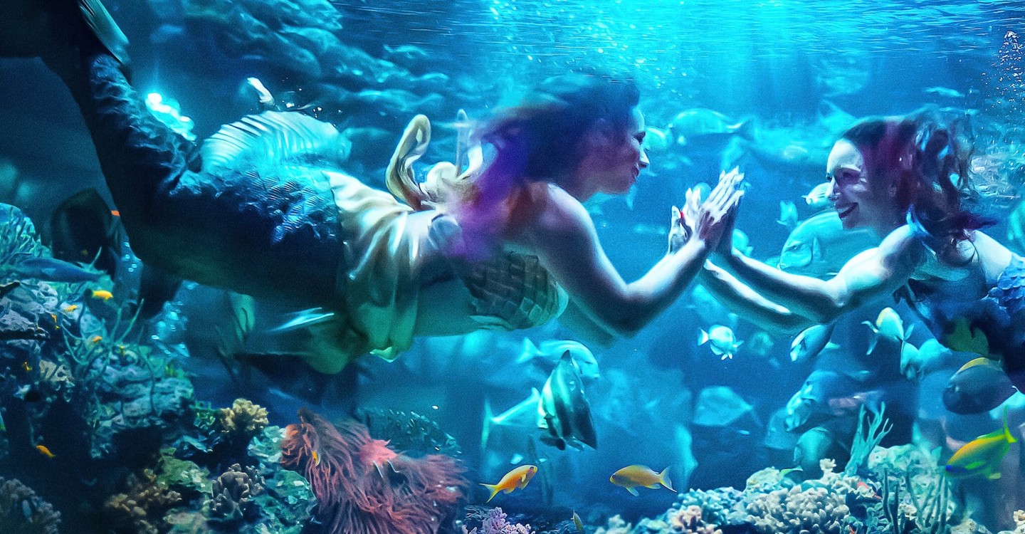 人魚商戰第一季-MerPeople/ Season 1最新全集線上看線上播放