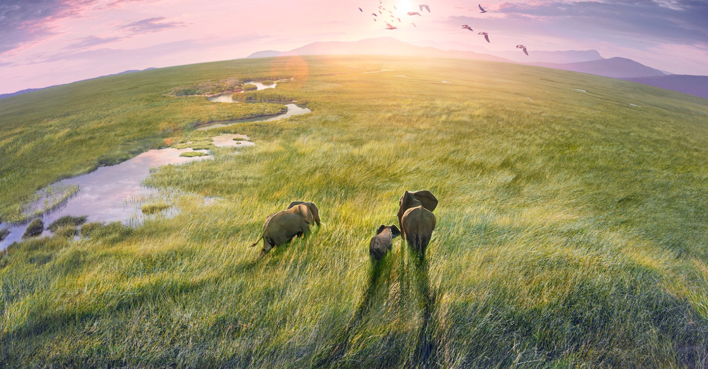 行星地球第三季-Planet Earth/地球脈動/Planet Earth III Season 3最新全集線上看線上播放