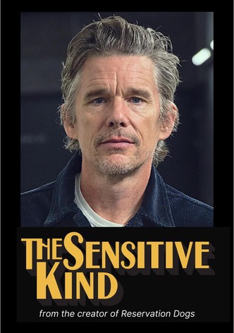敏感之人第一季-The Lowdown/敏感類型 / The Sensitive Kind Season 1最新全集線上看線上播放