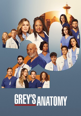 實習醫生格蕾第二十二季-Greys Anatomy/格蕾的解剖 / 外科實習生格蕾 Season 22最新全集線上看線上播放