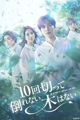没有砍十次还不倒的树-10回切って倒れない木はない/ Season 1最新全集高清在线看线上播放